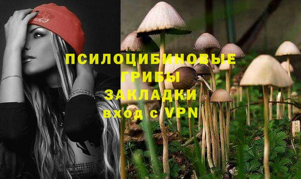 сатива Козельск