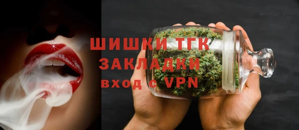 сатива Козельск