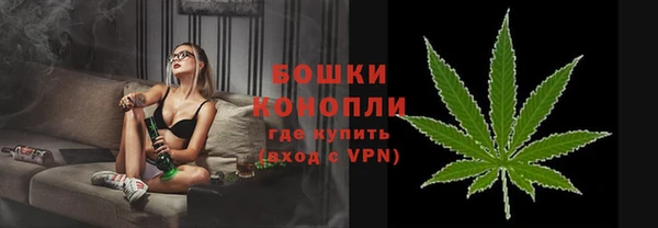 сатива Козельск