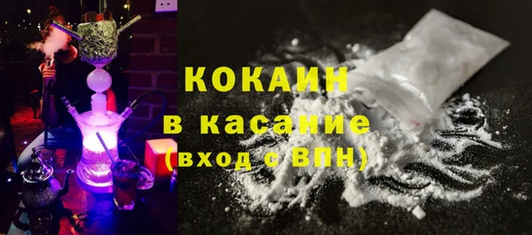 сатива Козельск