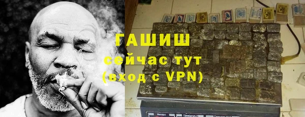 сатива Козельск