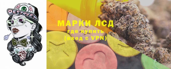 индика Янаул