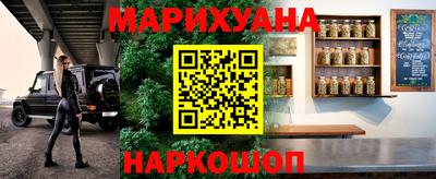 стаф Донской