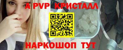 стаф Донской