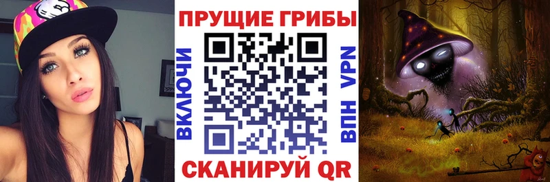 Псилоцибиновые грибы GOLDEN TEACHER  omg ТОР  Энгельс  купить наркотик 